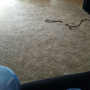 Meet your Posher, Daisy