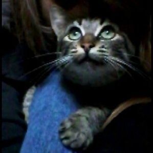 Meet your Posher, Anna