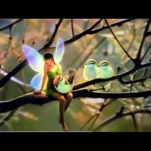 Meet your Posher, Noemi