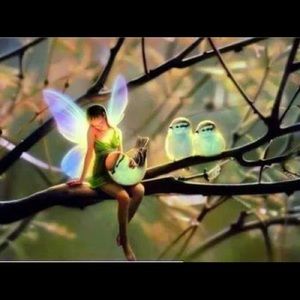 Meet your Posher, Noemi