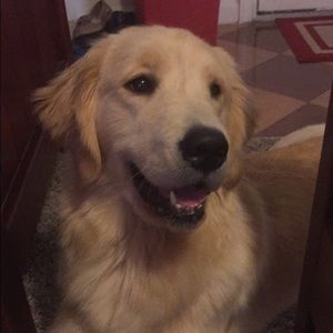 Meet your Posher, Sabrina