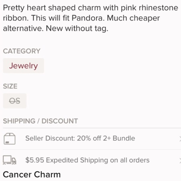 Breast Cancer Awareness Charm - Picture 4 of 4