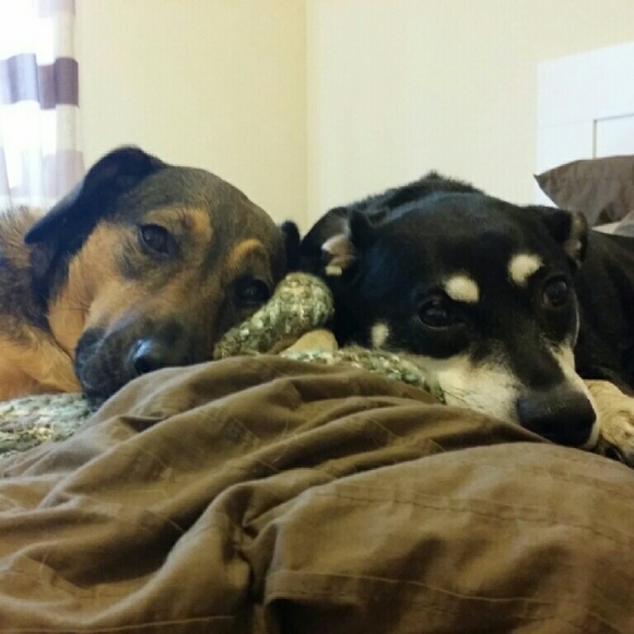 Meet your Posher, Danielle - Picture 2 of 2