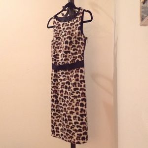 Ann Taylor Petite Pencil Dress Leopard