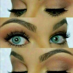 Baits spartax contacts