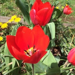 Meet your Posher, Elle