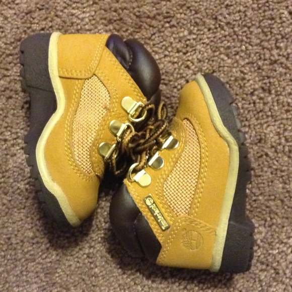 4c timberlands