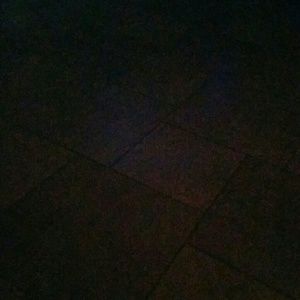 Meet your Posher, Claudia