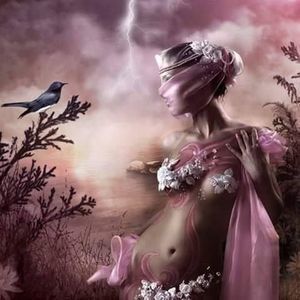 Meet your Posher, Elisha