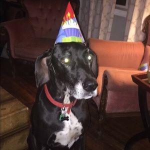 Meet your Posher, Alexis