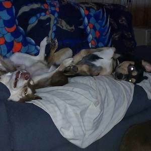 Meet your Posher, Christine