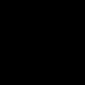 Meet your Posher, Flora