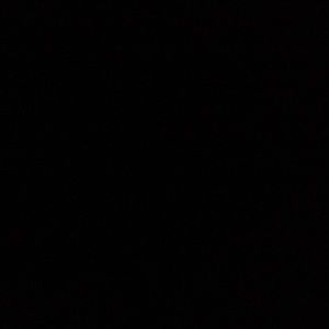 Meet your Posher, Harley