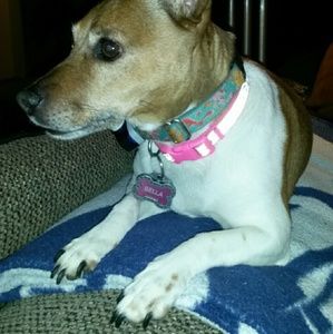 Meet your Posher, Michelle