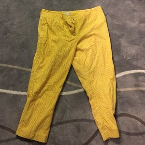 New York and Company Capri Pants