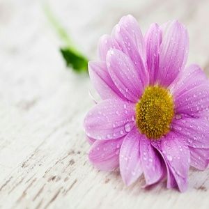 Meet your Posher, Glenda