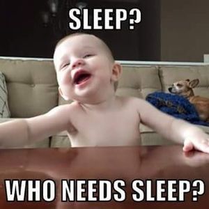 Meet your Posher, Brenda