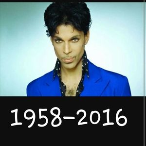 Meet your Posher, Korey