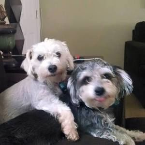 Meet your Posher, Paula