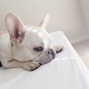 !!!!Closing my closet in two weeks!!!