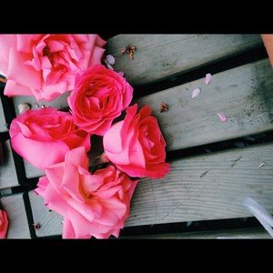 Meet your Posher, Angela