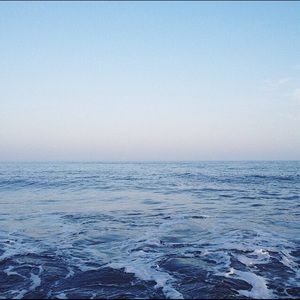 Meet your Posher, Whitney