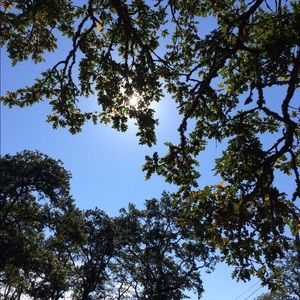 Meet your Posher, Esther