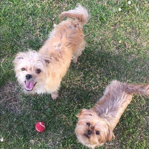 Meet your Posher, Danielle