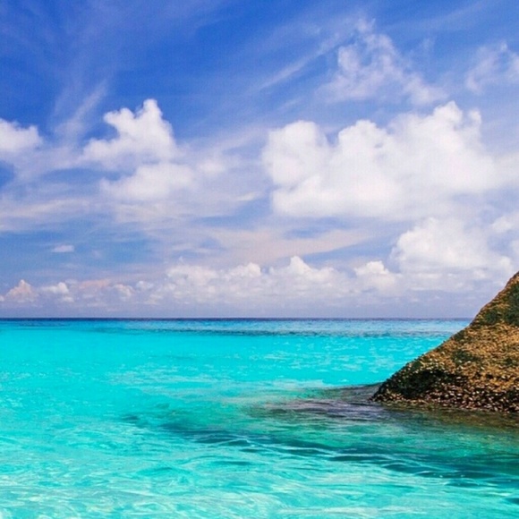 Meet your Posher, D - Picture 1 of 1