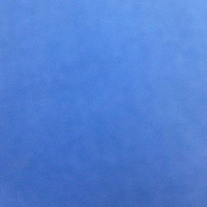 Meet your Posher, Kisha