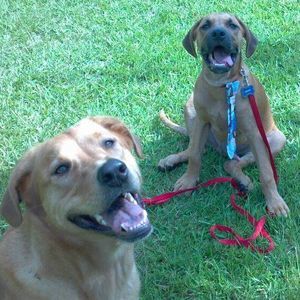 Meet your Posher, Ronna