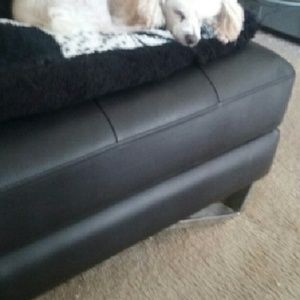 Meet your Posher, Robin