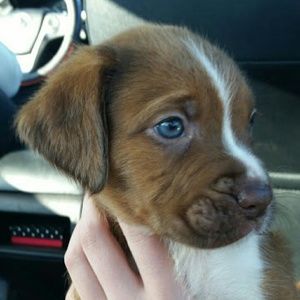 Meet your Posher, Ericka