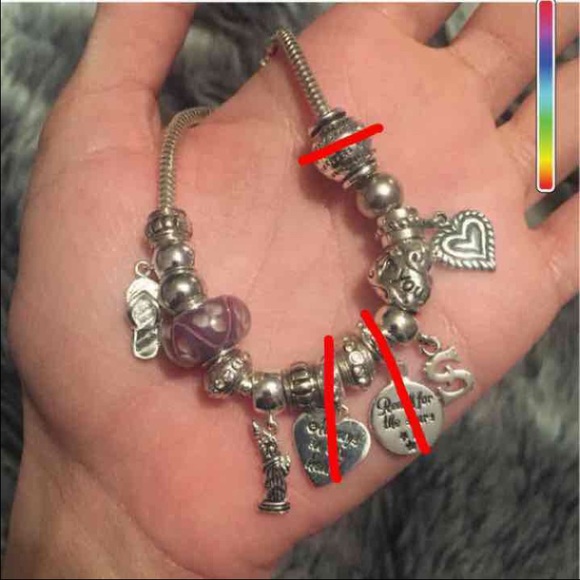 Bracelet and Pandora Charms