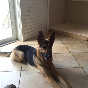 Meet your Posher, Hope