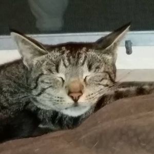 Meet your Posher, Alexia