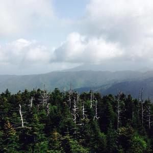 Meet your Posher, Patti