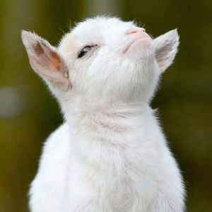 Meet your Posher, Melonie