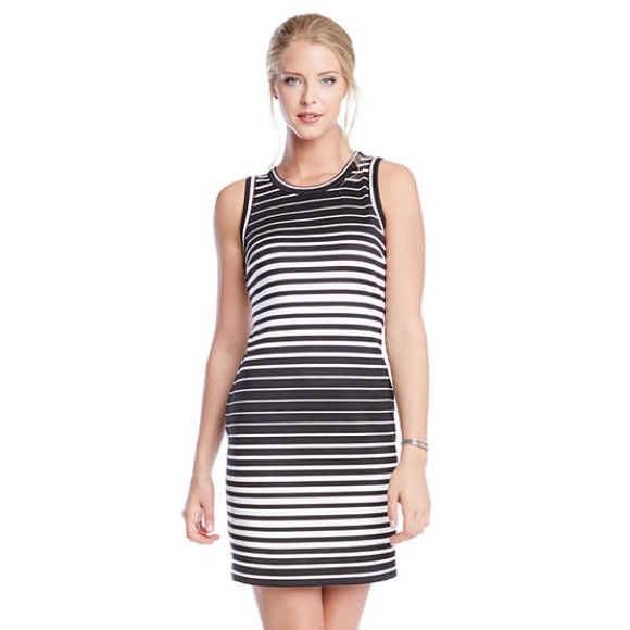 Karen Kane Stripe Double Knit Dress - Picture 3 of 3