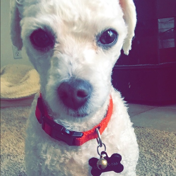 Meet your Posher, Kyli - Picture 1 of 1