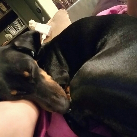 Meet your Posher, Lauren - Picture 3 of 4