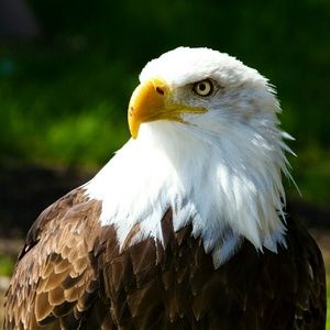 Meet your Posher, Dottie