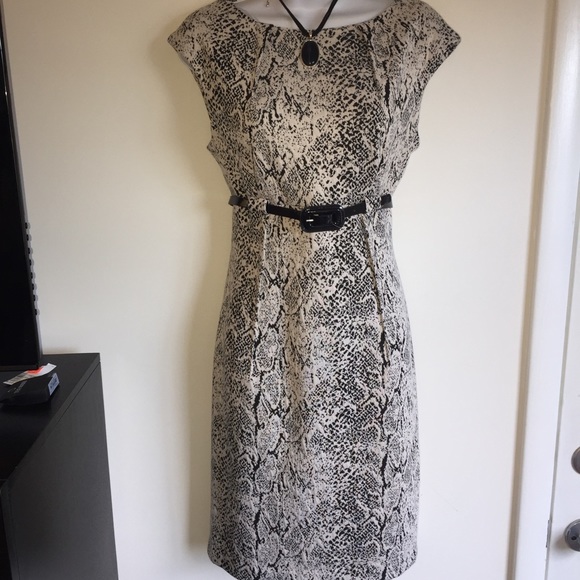Dana Buchman Dresses & Skirts - NWT beautiful work or date dress. Has pleats on