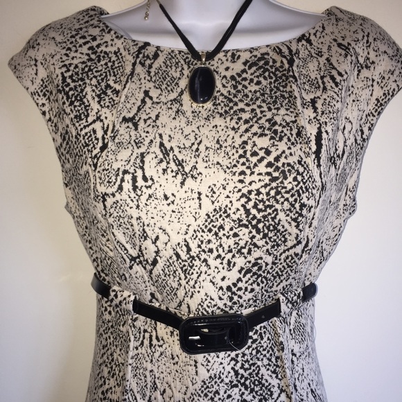 NWT beautiful work or date dress. Has pleats on - Picture 2 of 4