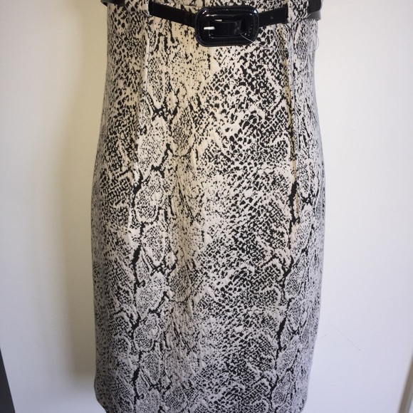 NWT beautiful work or date dress. Has pleats on - Picture 3 of 4