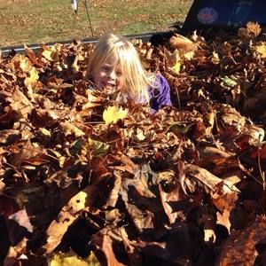 Meet your Posher, Tammy