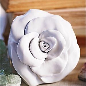 ❌SOLD❌Free People Rose potable speaker