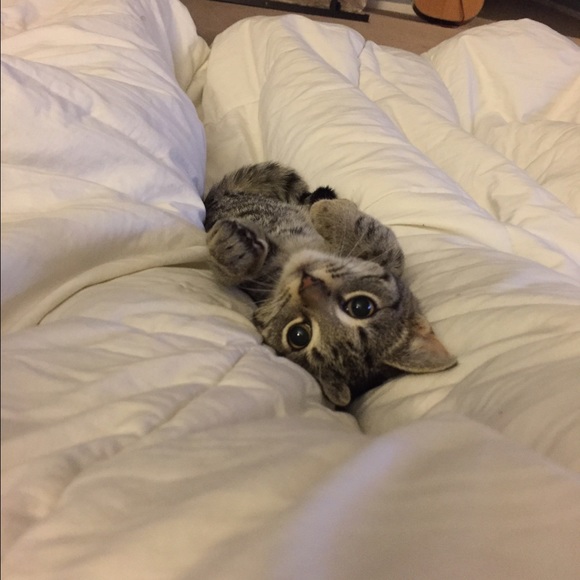 Meet your Posher, Doren