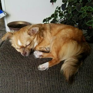 Meet your Posher, Kat