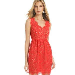 Shoshanna Lace Sierra Dress